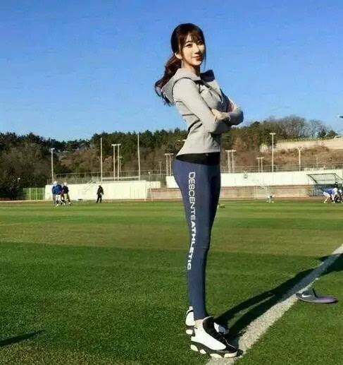 香港2023正版免费资料