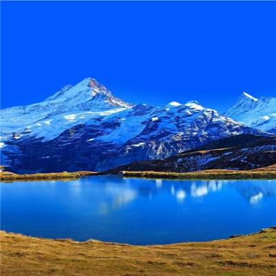 28圈游戏官网平台