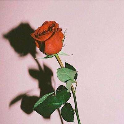 B体育手机版在线下载手机版