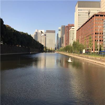 乐虎国际下载手机版