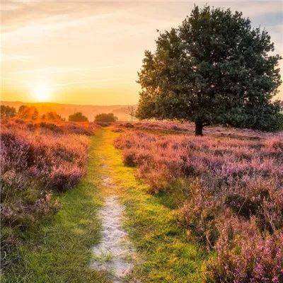 一分三快appapp下载