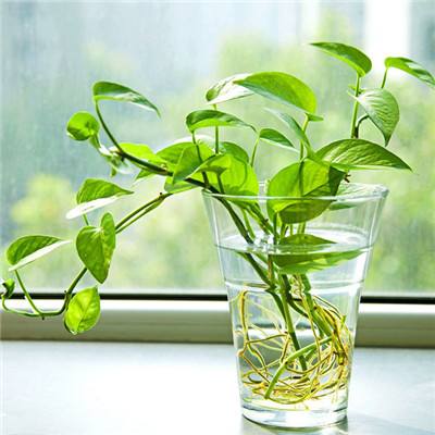 爱游戏下载安装