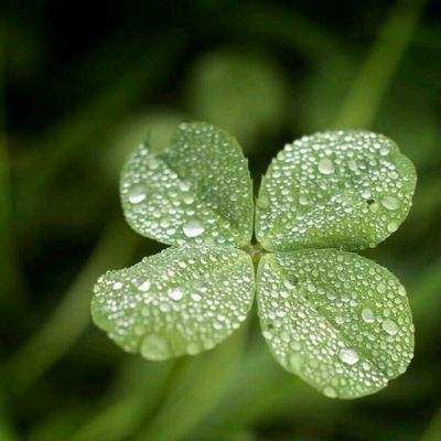 爱乐透彩票门户